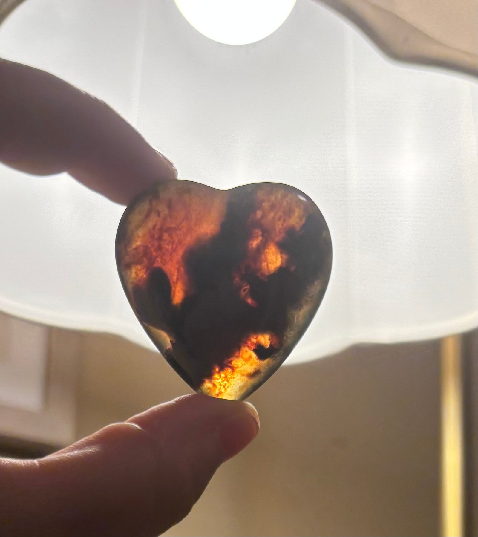 Amber Hearts