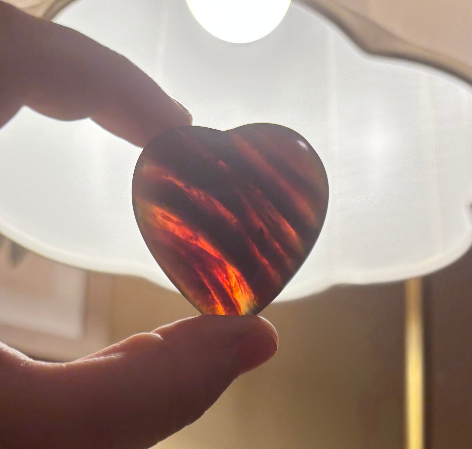 Amber Hearts