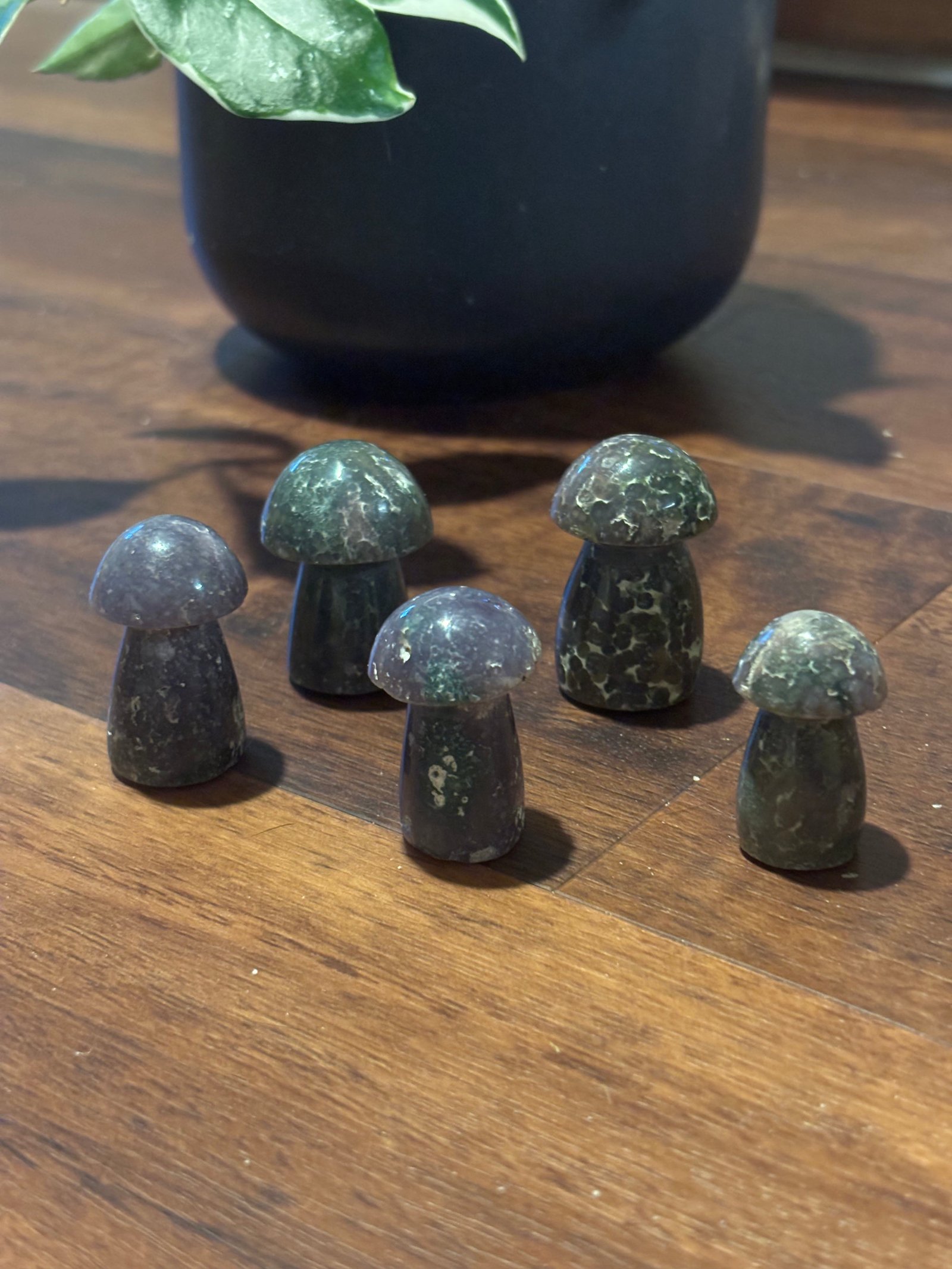 Bi-color grape agate mushrooms